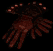 Dracul's Grasp