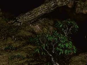 Great Marsh-nahled