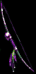 Kuko Shakaku