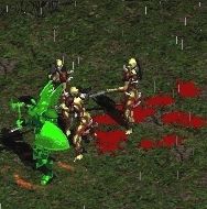 ow
