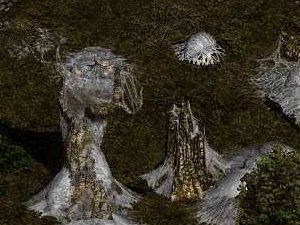 Spider Forest-nahled