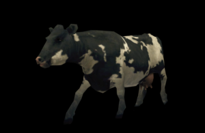d3_17thann_moowcowpet_tf_02