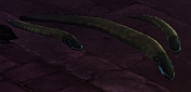 corpseworm
