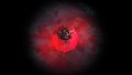 health-orb-new