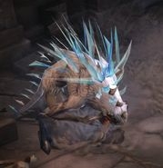 ice-porcupine