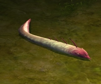 lamprey