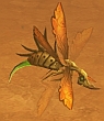 sandwasp