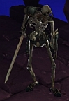 skeleton
